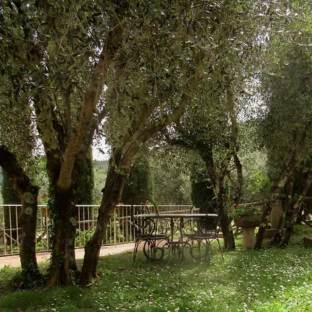 Borgo Di Barigianino *