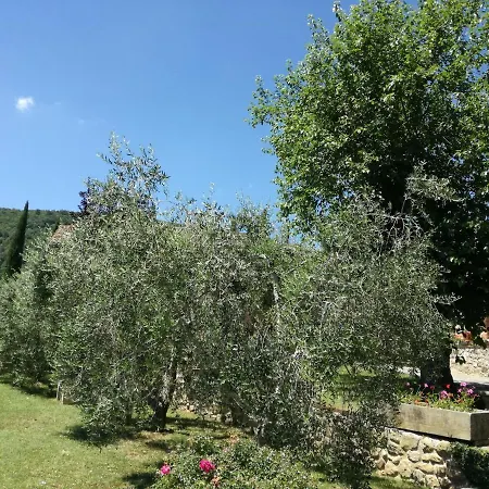 Borgo Di Barigianino